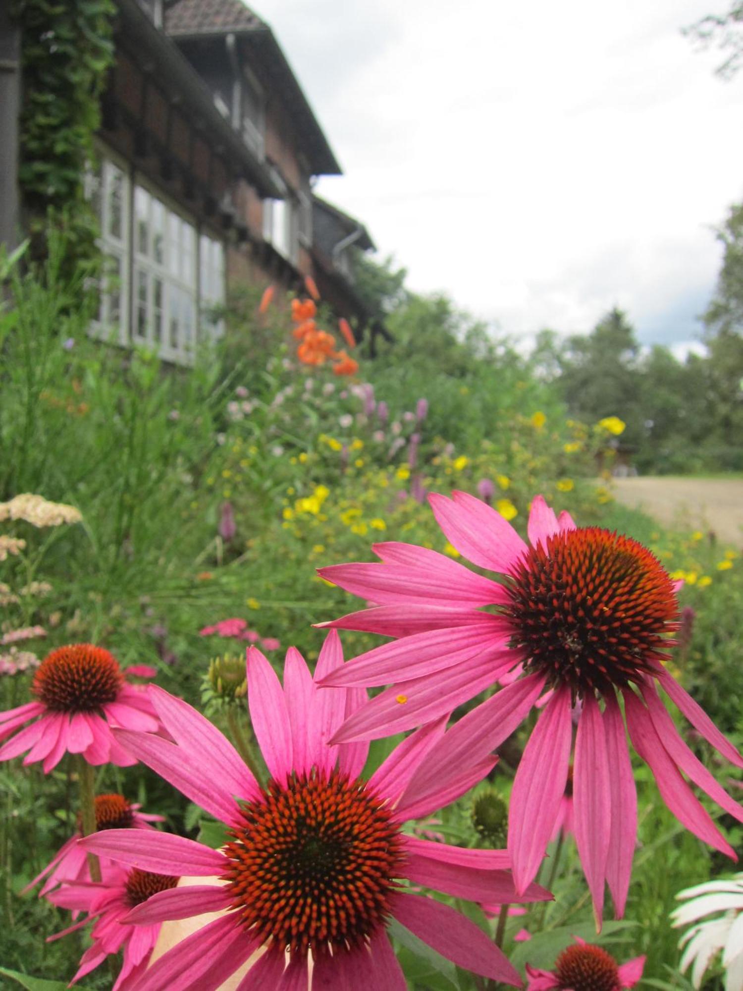 Haus Heidetal Bed & Breakfast Bispingen Exterior foto