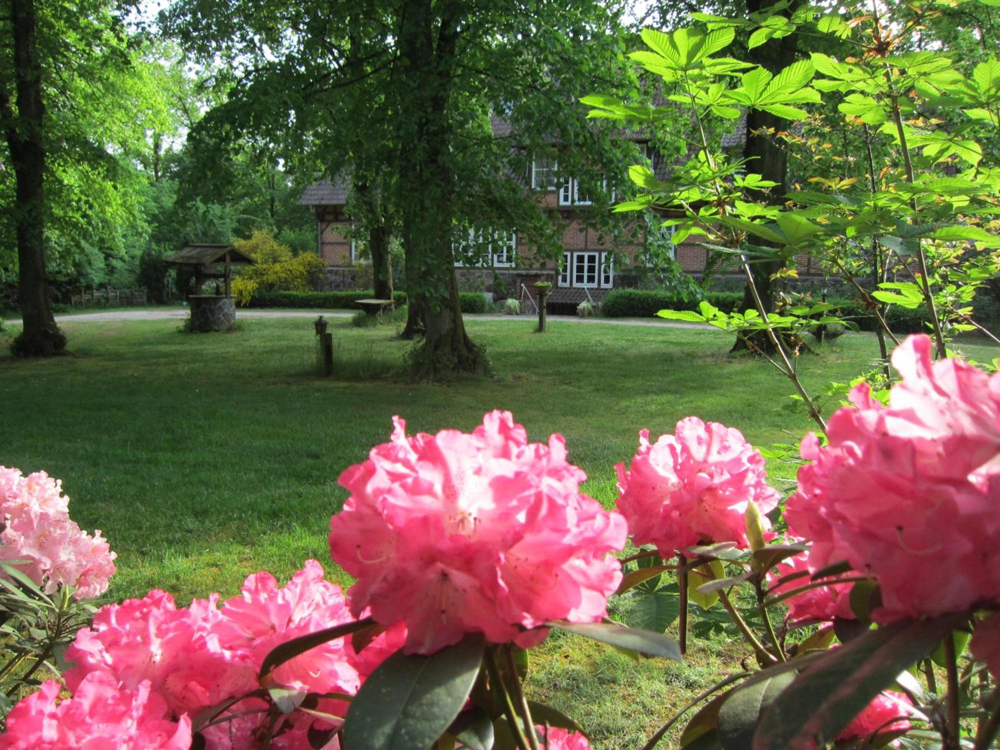 Haus Heidetal Bed & Breakfast Bispingen Exterior foto